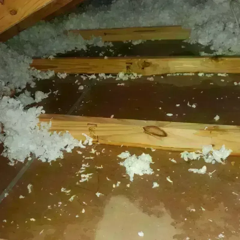 Attic Water Damage in Wahpeton, ND