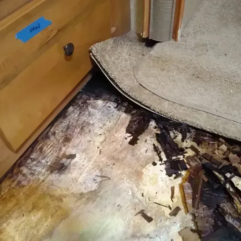 Wood Floor Water Damage in Wahpeton, ND